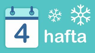 4-hafta Image
