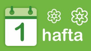 1-hafta Image