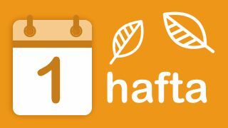 1-hafta Image