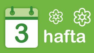 3-hafta Image