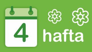 4-hafta Image